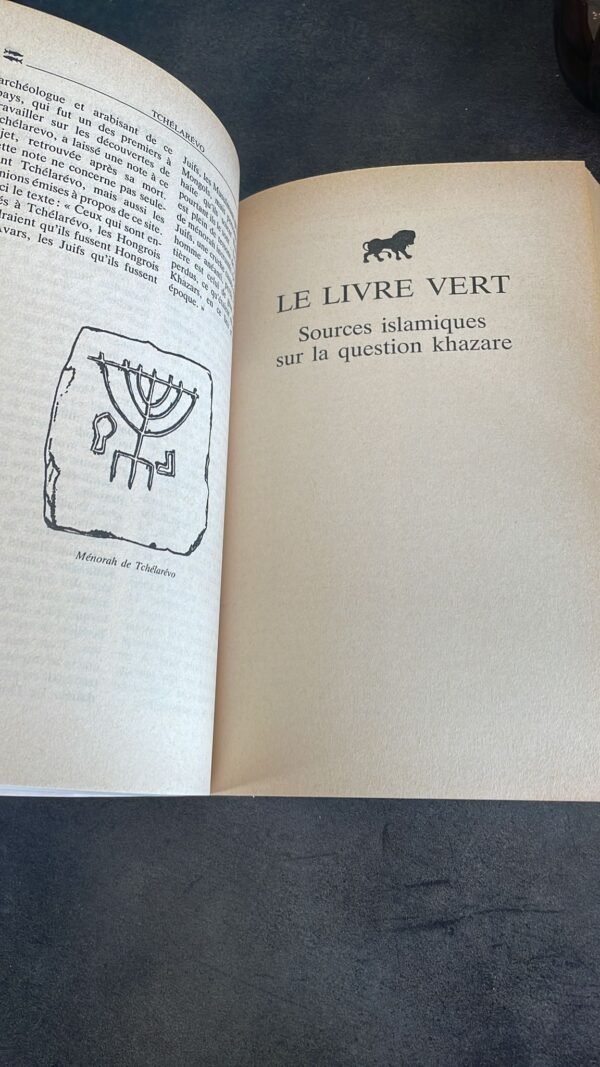 LE DICTIONNAIRE KHAZAR ROMAN LEXIQUE EN 100 000 MOTS - EXEMPLAIRE FEMININ. PAVIC MILORAD Edité par PIERRE BELFOND, 1988 – Image 6