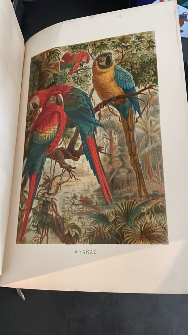 Brehms  Tireleben  III Tomes Les Oiseaux , III Tomes Mammifères, I Tome Le Règne Animal, I Tome Les Poissons , I Tome  Reptiles & Amphibiens – Image 7