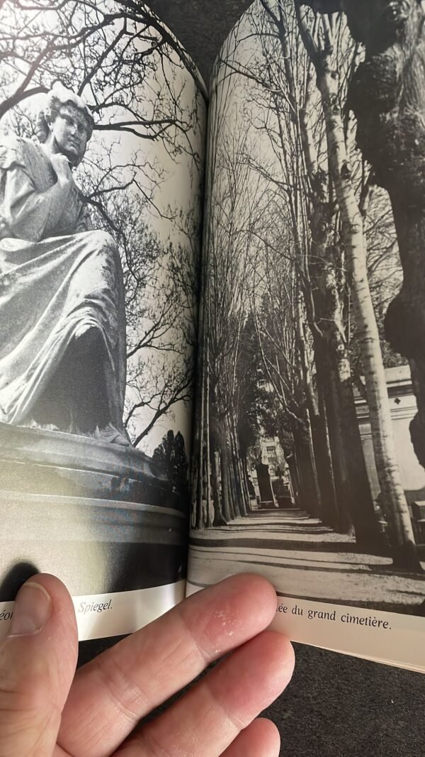 LE CIMETIERE MONTPARNASSE SON HISTOIRE SES PROMENADES SES SECRETS, par Marie-Laure Pierard – Image 7