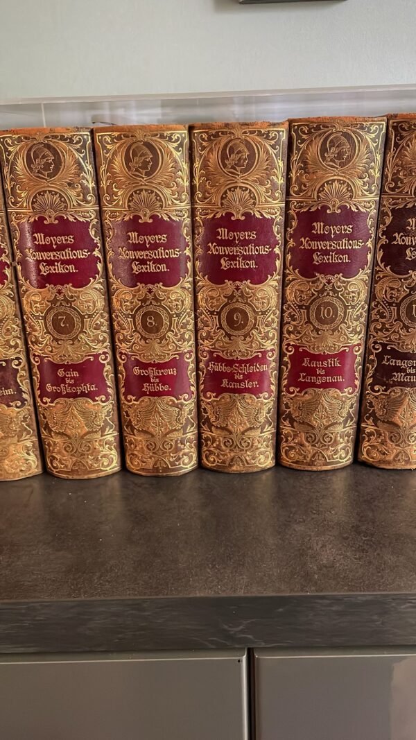 MEYERS KONVERSATIONS LEXIKON 19 Volumes écrit en Allemand. 1/19.Edité par Bibliographisches Institut. 1897 – Image 7