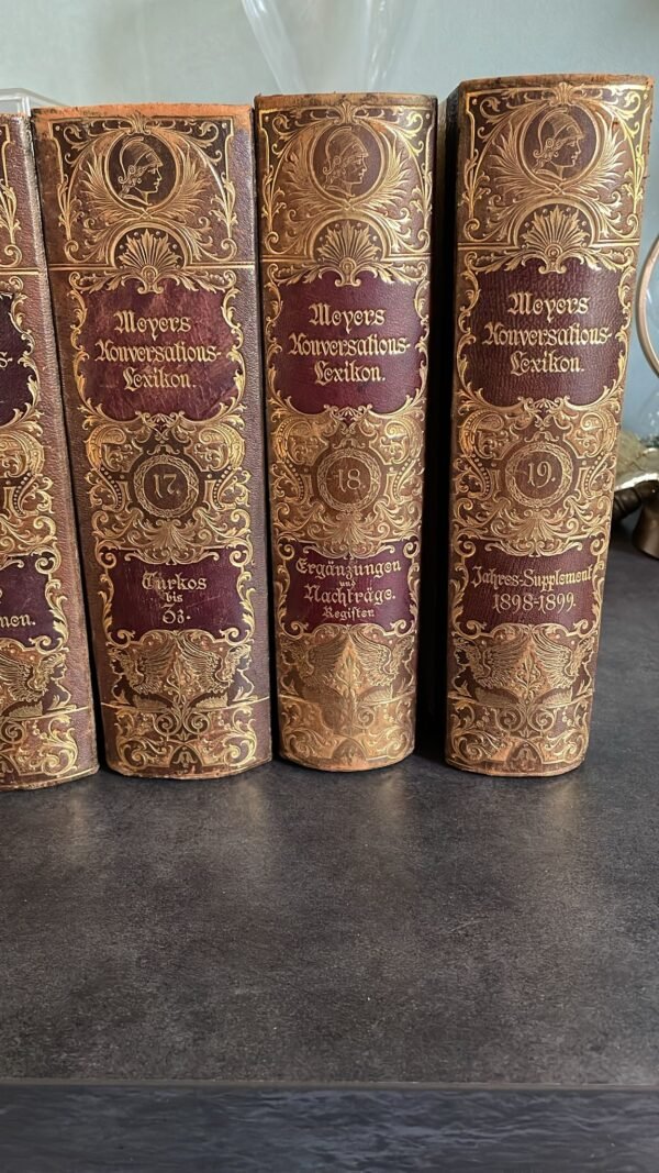 MEYERS KONVERSATIONS LEXIKON 19 Volumes écrit en Allemand. 1/19.Edité par Bibliographisches Institut. 1897 – Image 8