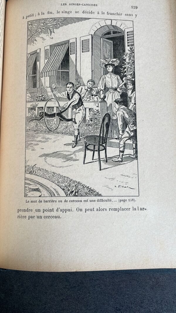 SINGES ET SINGERIES par HENRI COUPIN Histoire anecdotique des singes. Ville de Paris Prix Municipal. – Image 10