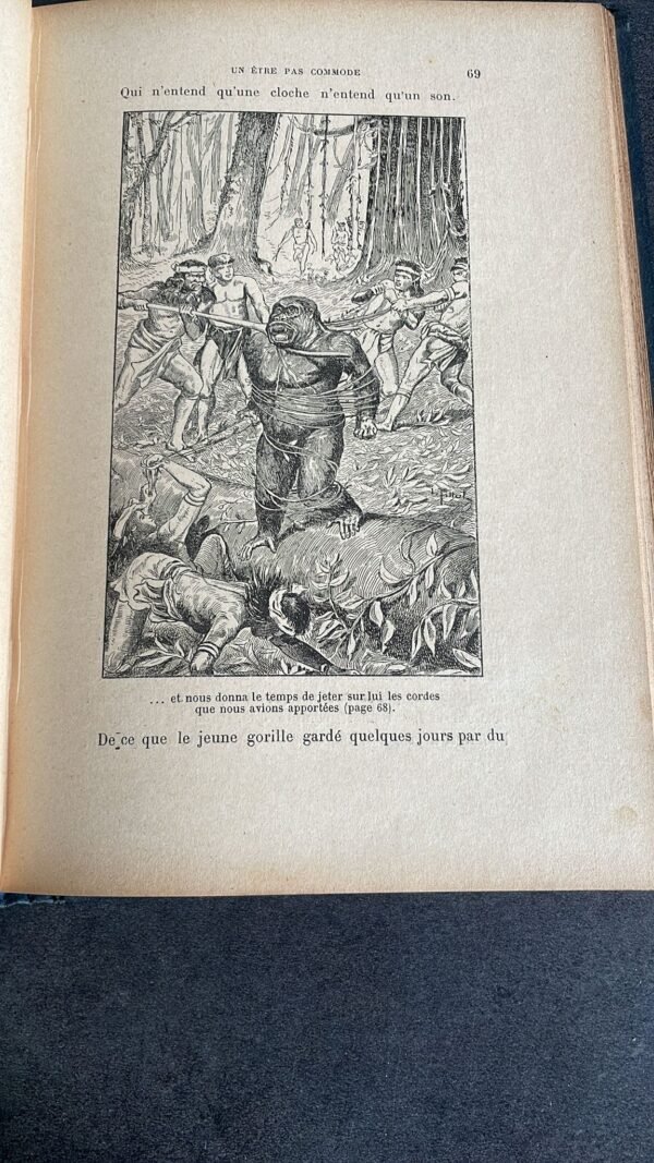 SINGES ET SINGERIES par HENRI COUPIN Histoire anecdotique des singes. Ville de Paris Prix Municipal. – Image 6