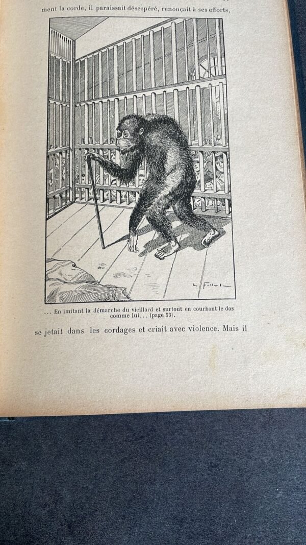 SINGES ET SINGERIES par HENRI COUPIN Histoire anecdotique des singes. Ville de Paris Prix Municipal. – Image 7