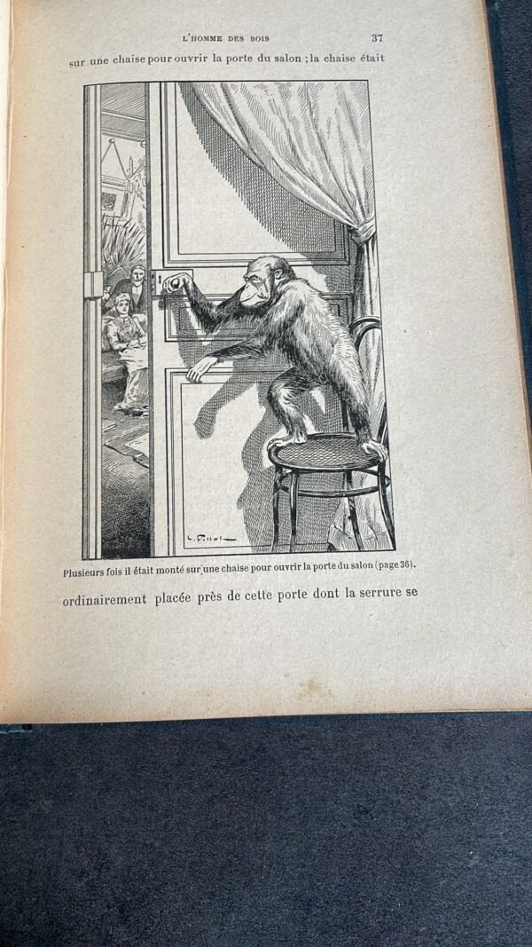 SINGES ET SINGERIES par HENRI COUPIN Histoire anecdotique des singes. Ville de Paris Prix Municipal. – Image 8