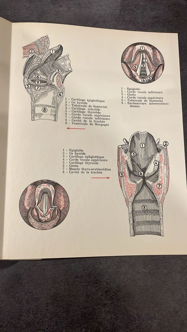 Charles Panzera.  ‎L'Art Vocal : 30 leçons de chant.‎ Librairie Théâtrale. 1959. – Image 6