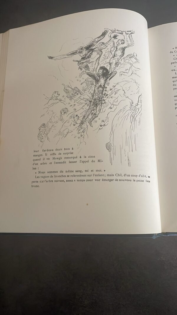 Le Livre De La Jungle. par  Rudyard Kipling. – Image 5