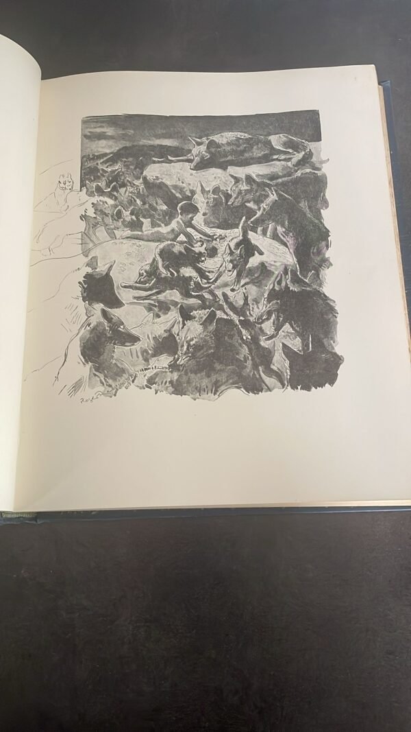 Le Livre De La Jungle. par  Rudyard Kipling. – Image 6
