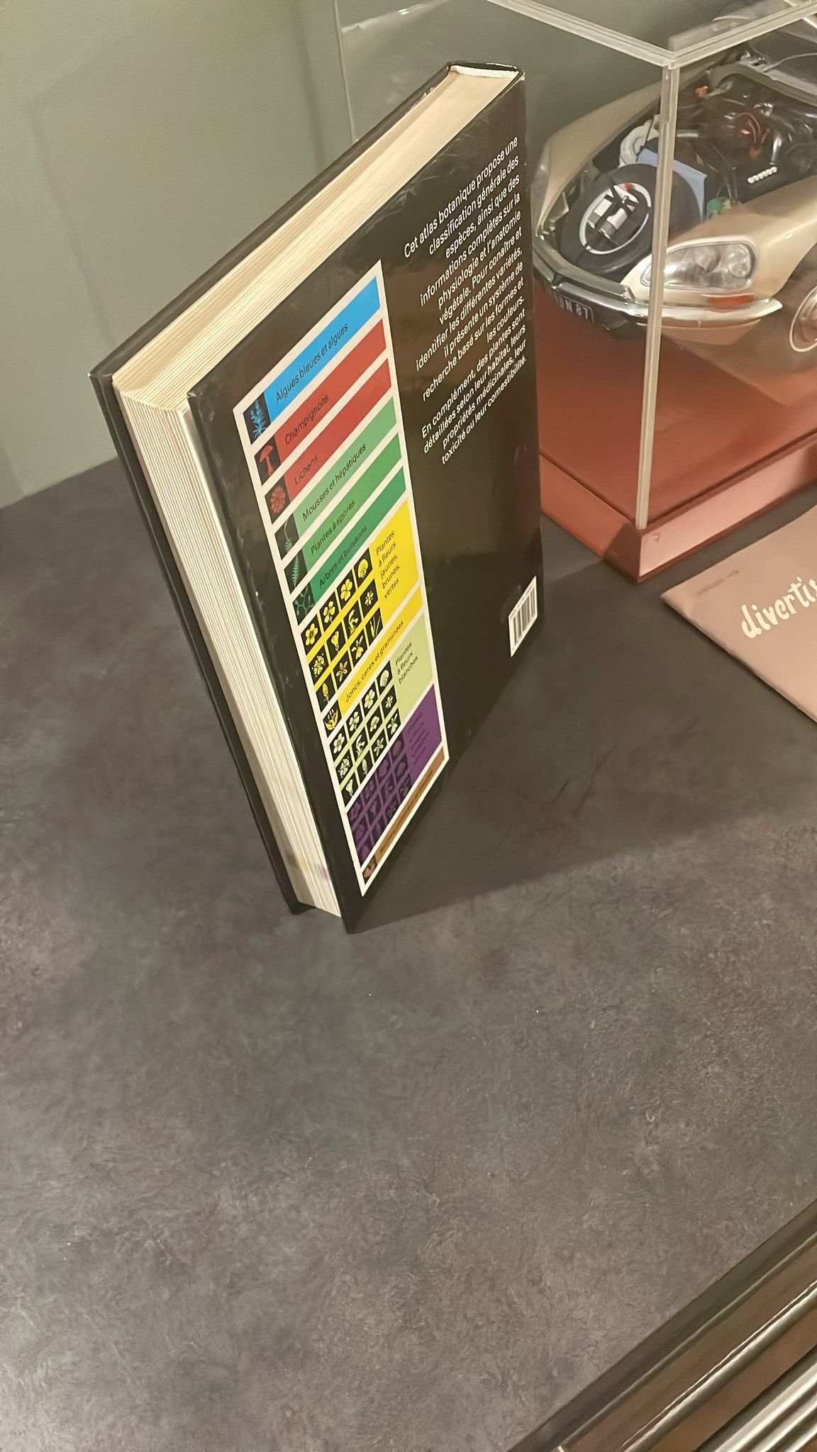 Atlas Botanique, Champignons, Plantes, Arbres et Minéraux d'Europe. – Image 9