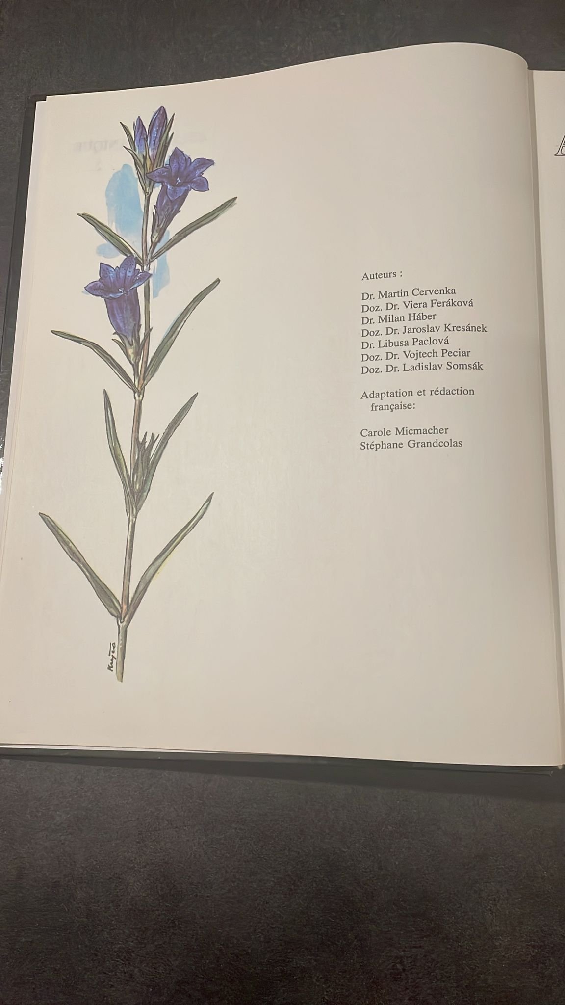 Atlas Botanique, Champignons, Plantes, Arbres et Minéraux d'Europe. – Image 8