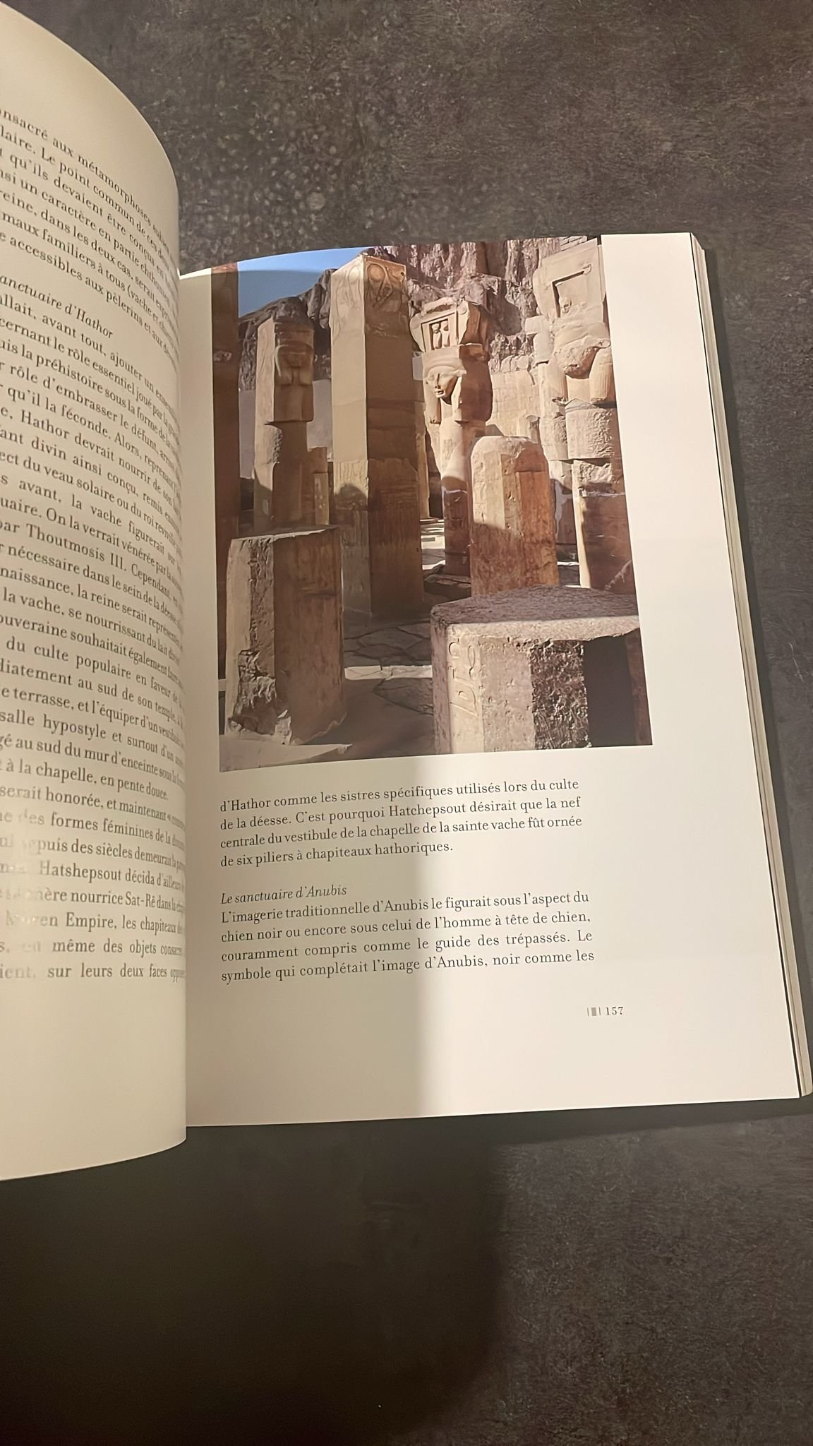 HATCHEPSOUT La Reine Mystérieuse. – Image 4