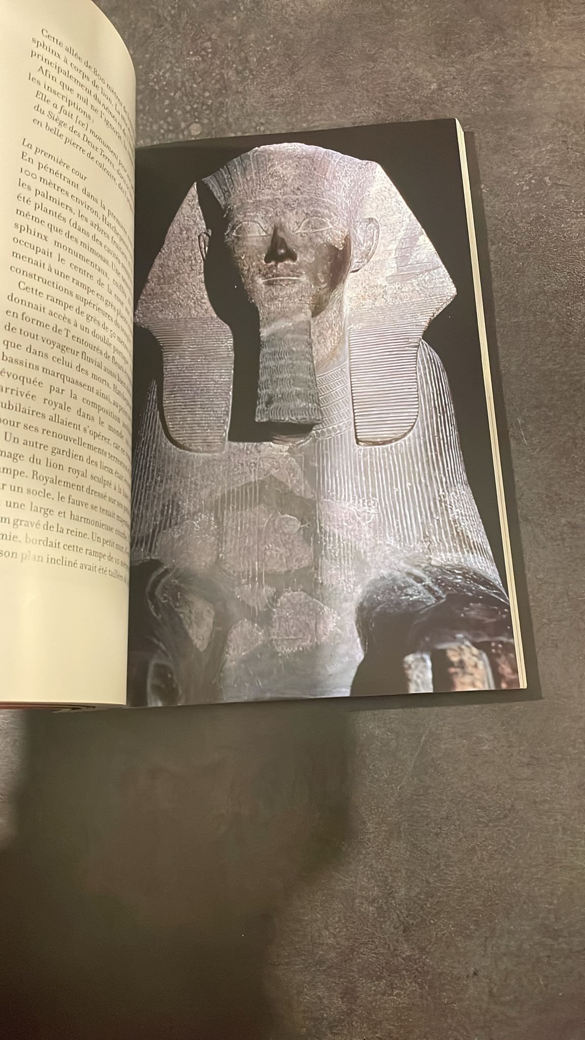 HATCHEPSOUT La Reine Mystérieuse. – Image 6