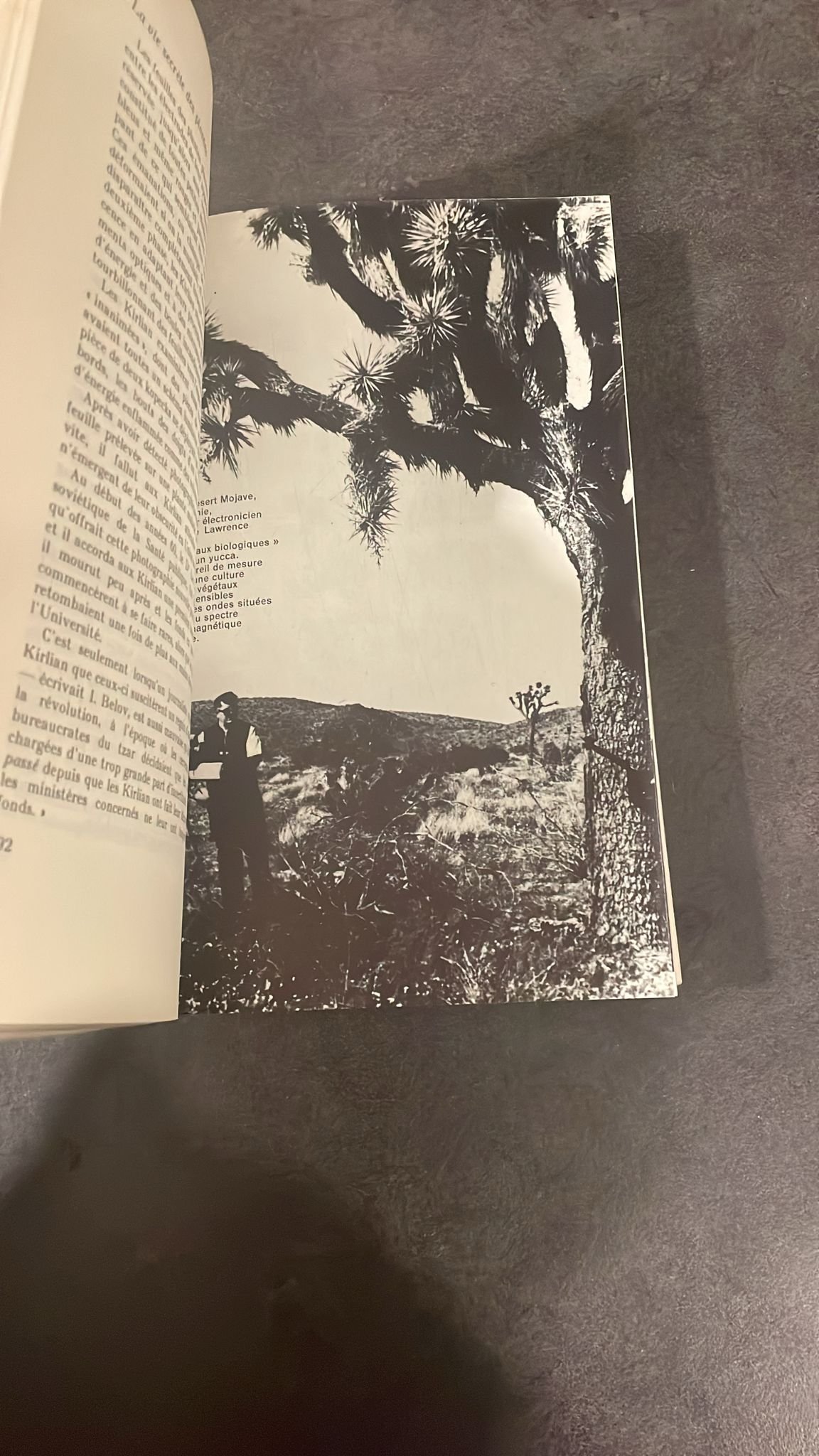 La Vie Secrète Des Plantes. Le livre de référence sur les liens émotionnels et spirituels entre les plantes et les humains. – Image 6