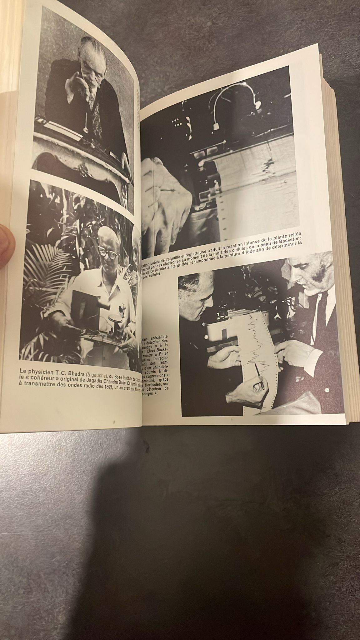 La Vie Secrète Des Plantes. Le livre de référence sur les liens émotionnels et spirituels entre les plantes et les humains. – Image 7