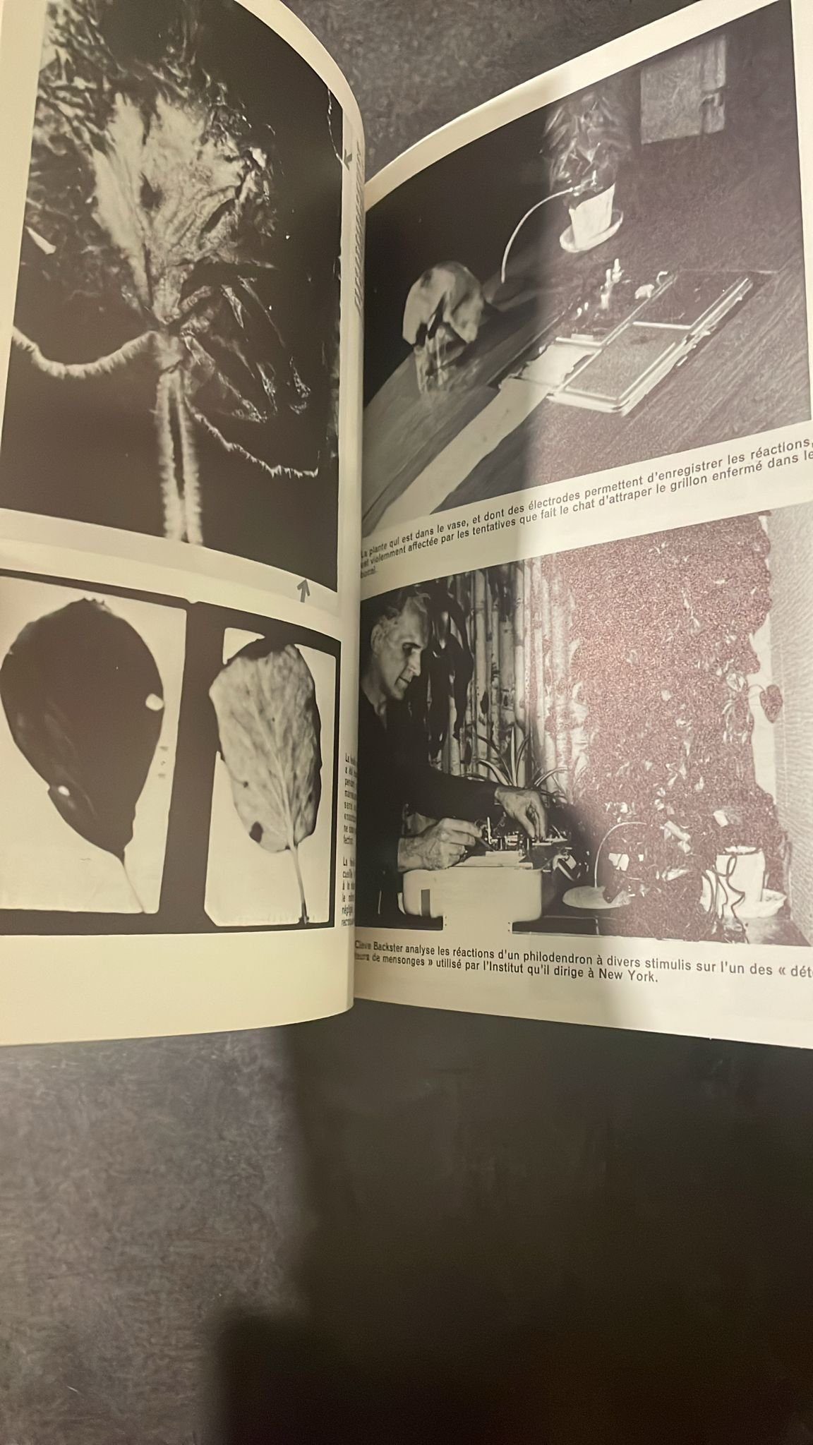 La Vie Secrète Des Plantes. Le livre de référence sur les liens émotionnels et spirituels entre les plantes et les humains. – Image 9