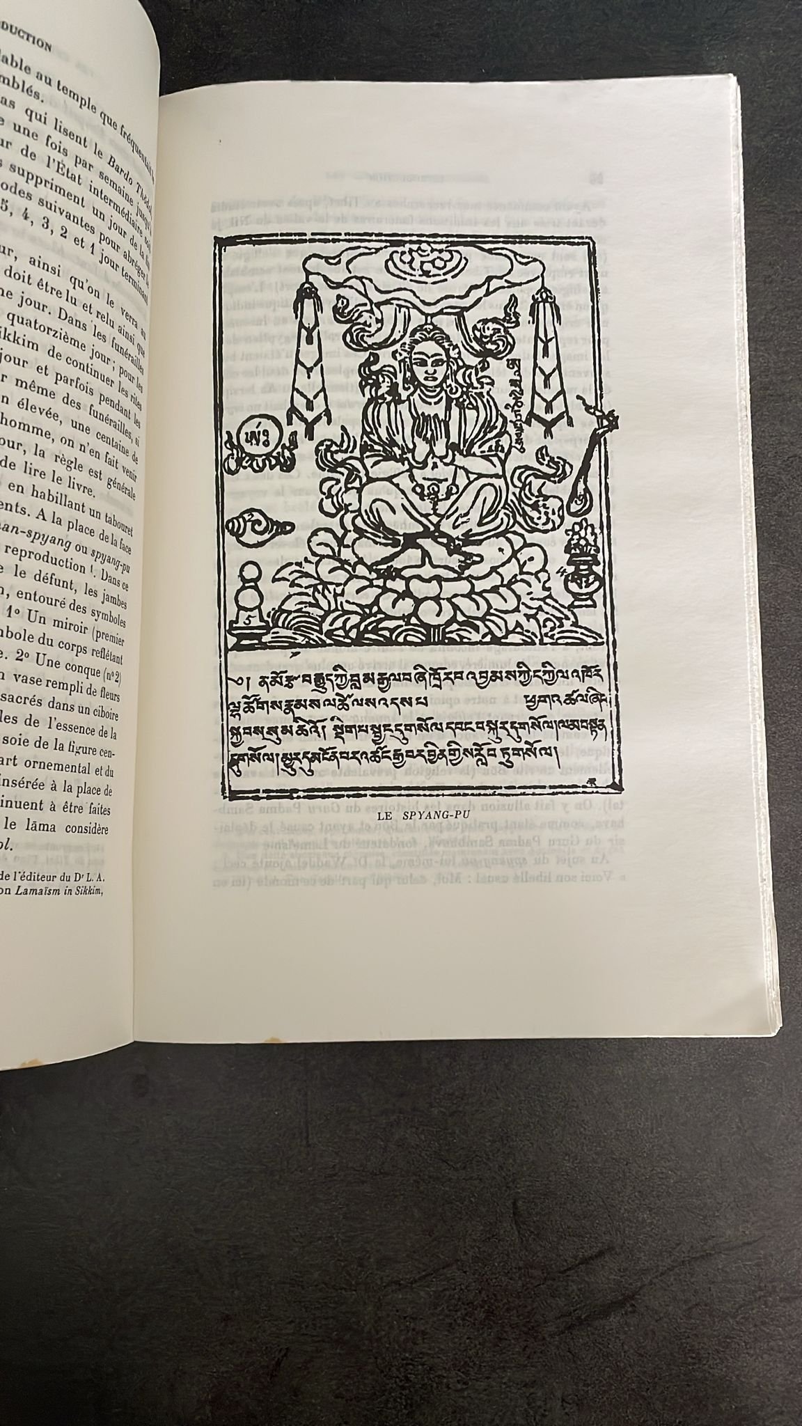 Bardo Thödol - Le Livre Des Morts Tibétain ou Les Expériences d'après la Mort Dans Le Plan du Bardo – Image 7