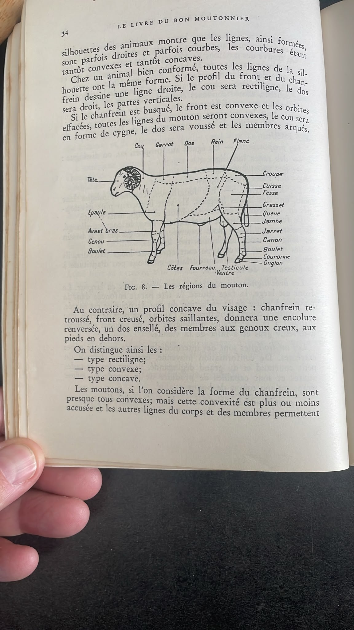 Le livre du bon moutonnier. ( Guide des bergers et des proprietaires de moutons. ) – Image 4