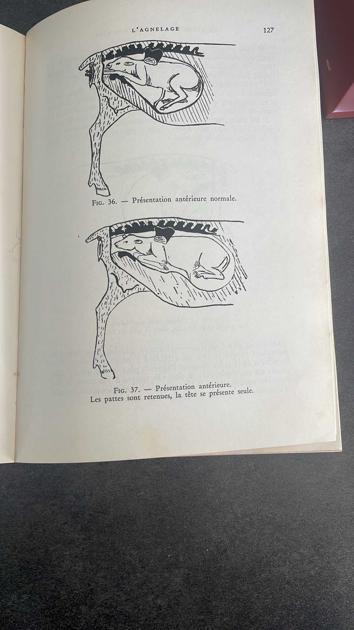 Le livre du bon moutonnier. ( Guide des bergers et des proprietaires de moutons. ) – Image 6