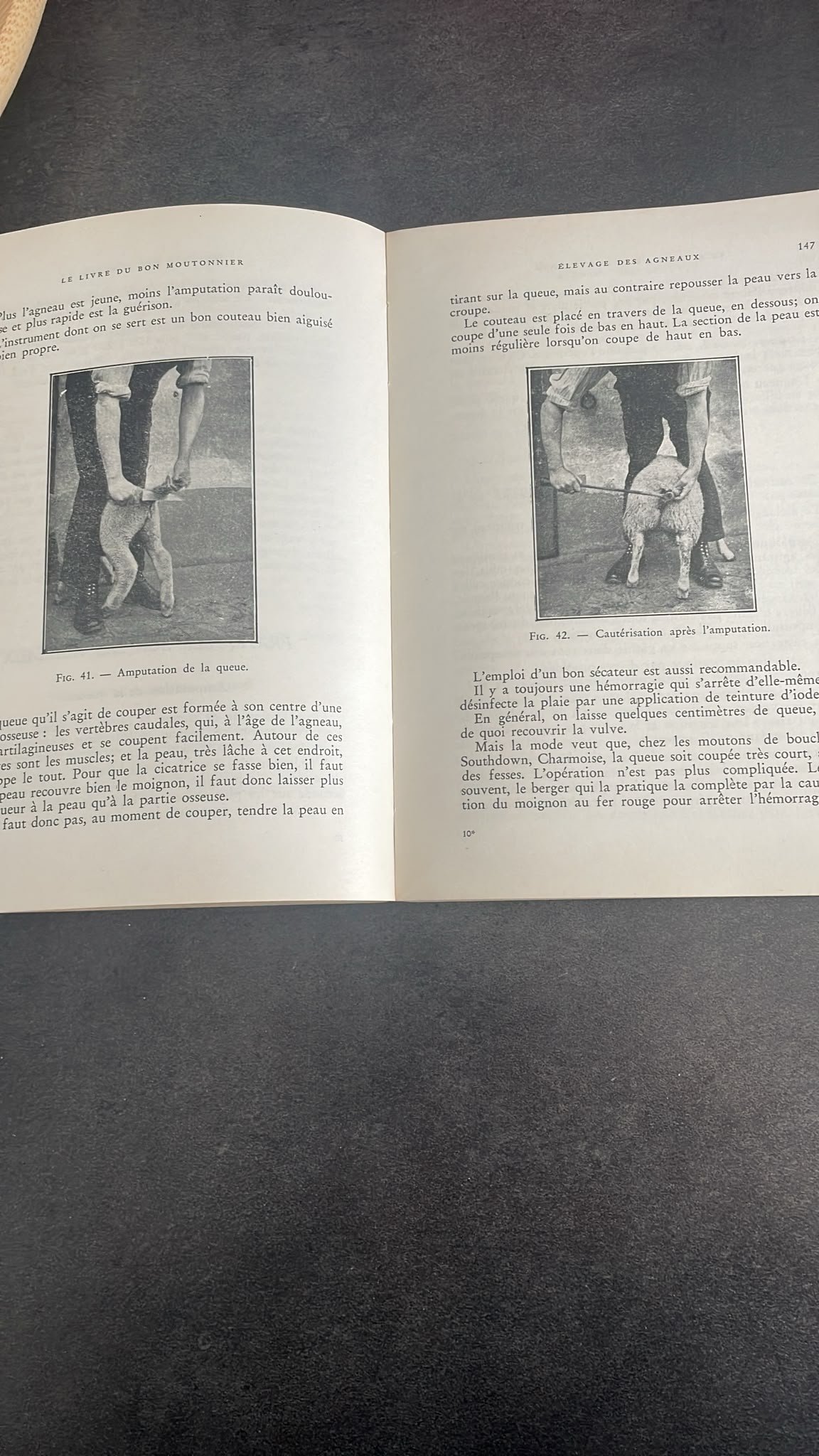 Le livre du bon moutonnier. ( Guide des bergers et des proprietaires de moutons. ) – Image 7