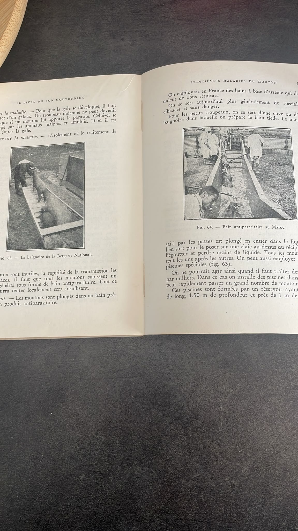 Le livre du bon moutonnier. ( Guide des bergers et des proprietaires de moutons. ) – Image 8